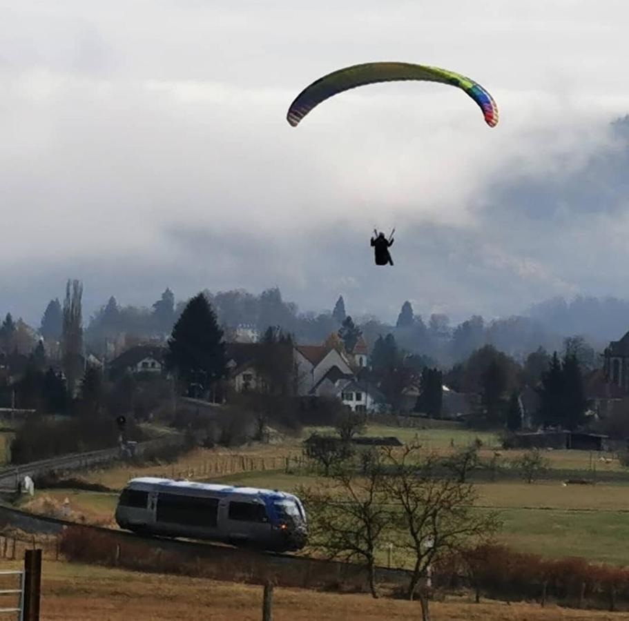 Relais Des Vosges Apartment Husseren-Wesserling ภายนอก รูปภาพ